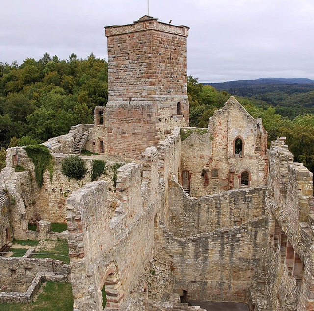 Die ehrenamtliche Pflege der Burg Rtt...musfachleuten aus den Partnerstdten.   | Foto: Nikolaus Trenz