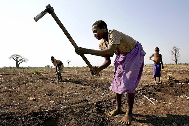 Bauern bearbeiten ein Feld in Malawi.   | Foto: dpa
