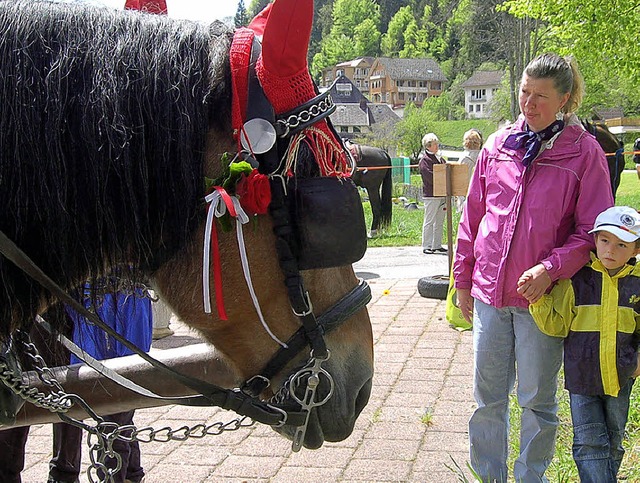 Schn geschmckte Pferde und Kutschen ...nd der anschlieenden Pferdesegnung.    | Foto:  Hans-Dieter Folles