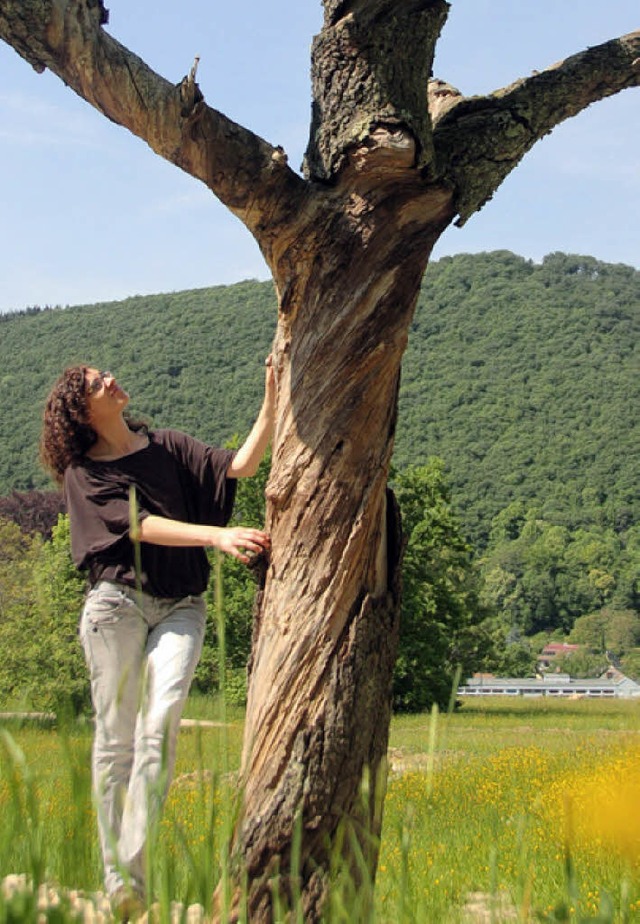 Auf Tuchfhlung: Mein Freund, der Baum, ist tot<ppp></ppp>  | Foto: anfe