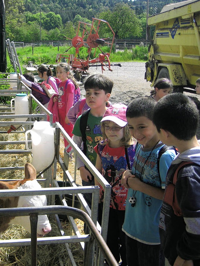 Mit dem Rucksack einmal im Monat raus ...gschule will Sinneseindrcke strken.   | Foto: BZ