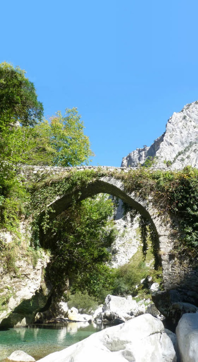 Natur satt: Die alte Brcke ber den R..., Geier und Pferde an der Vega de Llos  | Foto: Rolf Mller