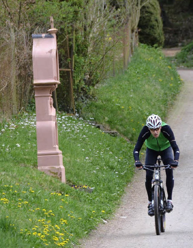 Biker auf dem Stationenweg  | Foto: Markus Donner