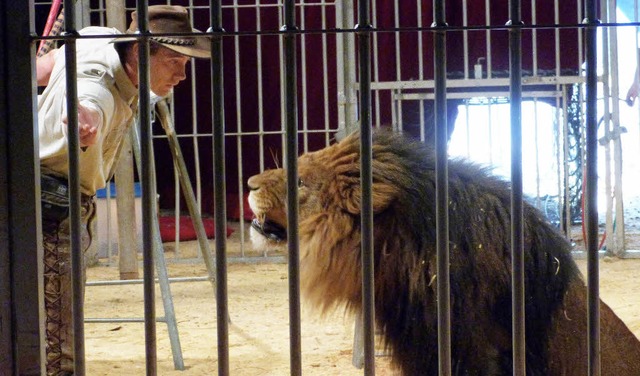 Echte Lwen in Bad Sckingen &#8211; h... im Zirkuszelt auf dem Brennet-Areal.   | Foto: Sigrid Schneider