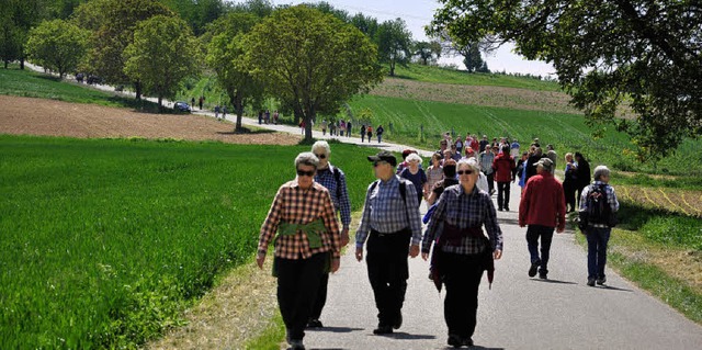 Der erste Gutedelwandertag war &#8211;...es Wetters &#8211; ein groer Erfolg.   | Foto: jutta Schtz