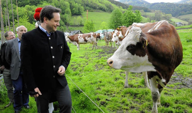 Auf Du und Du mit der Kuh - Landwirtsc...eines Milchviehbetriebs in Elzach-Yach  | Foto: Markus Zimmermann, Markus Zimmermann