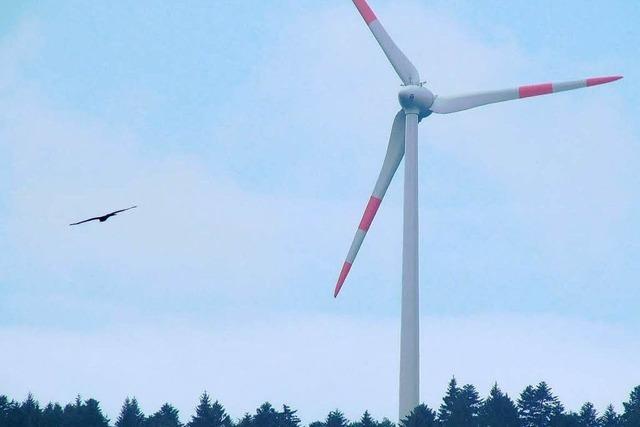Naturschützer warnen: Windkraft ist für Tiere gefährlich