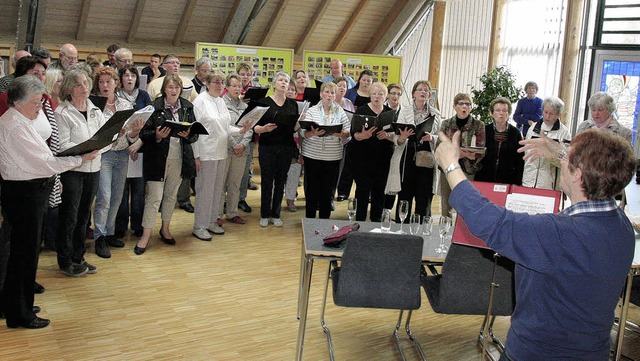 Musik vereint: Die Chre aus hlingen ...stadt Machecoul musizieren gemeinsam.   | Foto: B. Rde