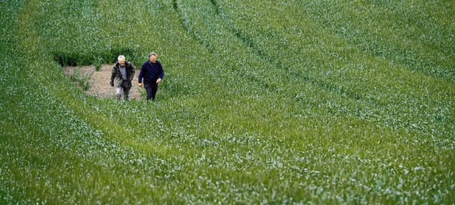 Landwirt Gnter Linser  und Naturscht...enner in einem ihrer Lerchenfenster.    | Foto: Ingo Schneider