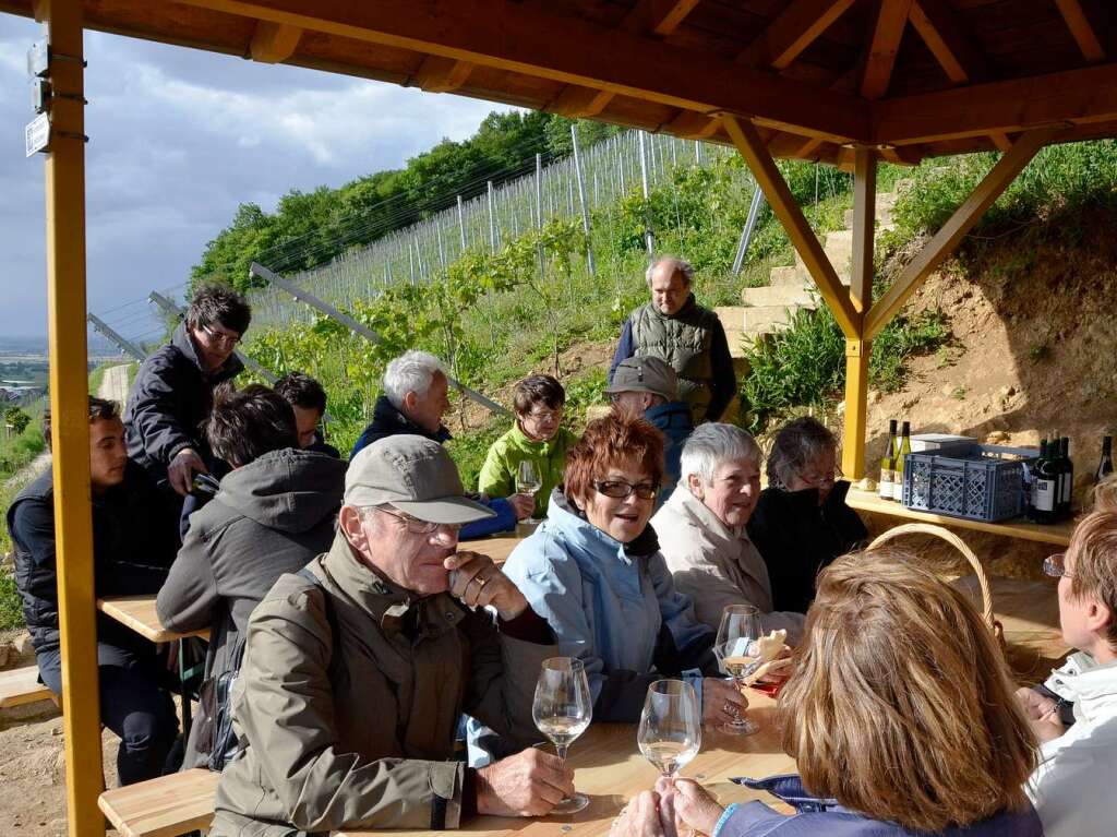 Impressionen von der Weinwanderung auf den Castellberg