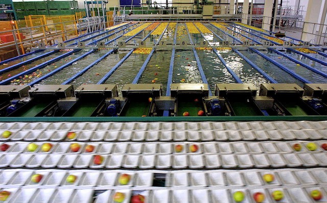 Die Apfelwasch- und -Sortieranlage des...kord bei der Obst-Vermarktung meldet.   | Foto: Archivfoto: Peter heck