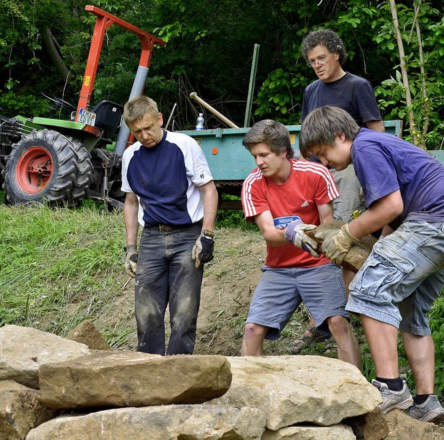 Mit vereinten Krften wuchteten Heimsc...  Trockenmauer am Meierberg-Lehrpfad.   | Foto: Privat