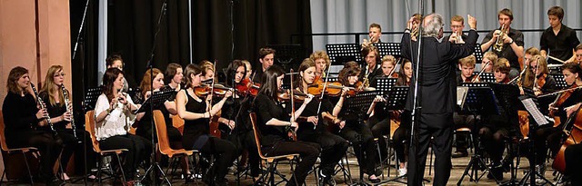 Oberstufen-Chor und Orchester der Wald...boten  ein  anspruchsvolles Programm.   | Foto: W.  Beege