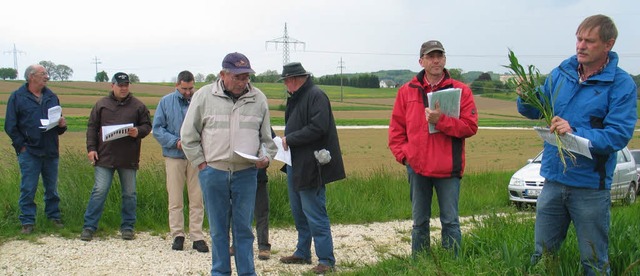 Hubert Sprich (rechts) erklrte anhand...anzen den mglichen Schdlingsbefall.   | Foto: jutta schtz