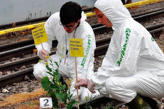 Greenpeace entdeckt Genraps in Schweizer Rheinhfen