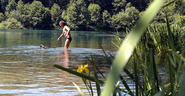 Ausgezeichnete Wasserqualitt beschein...ten,  auch dem Freiburger Moosweiher.   | Foto: Ingo Schneider