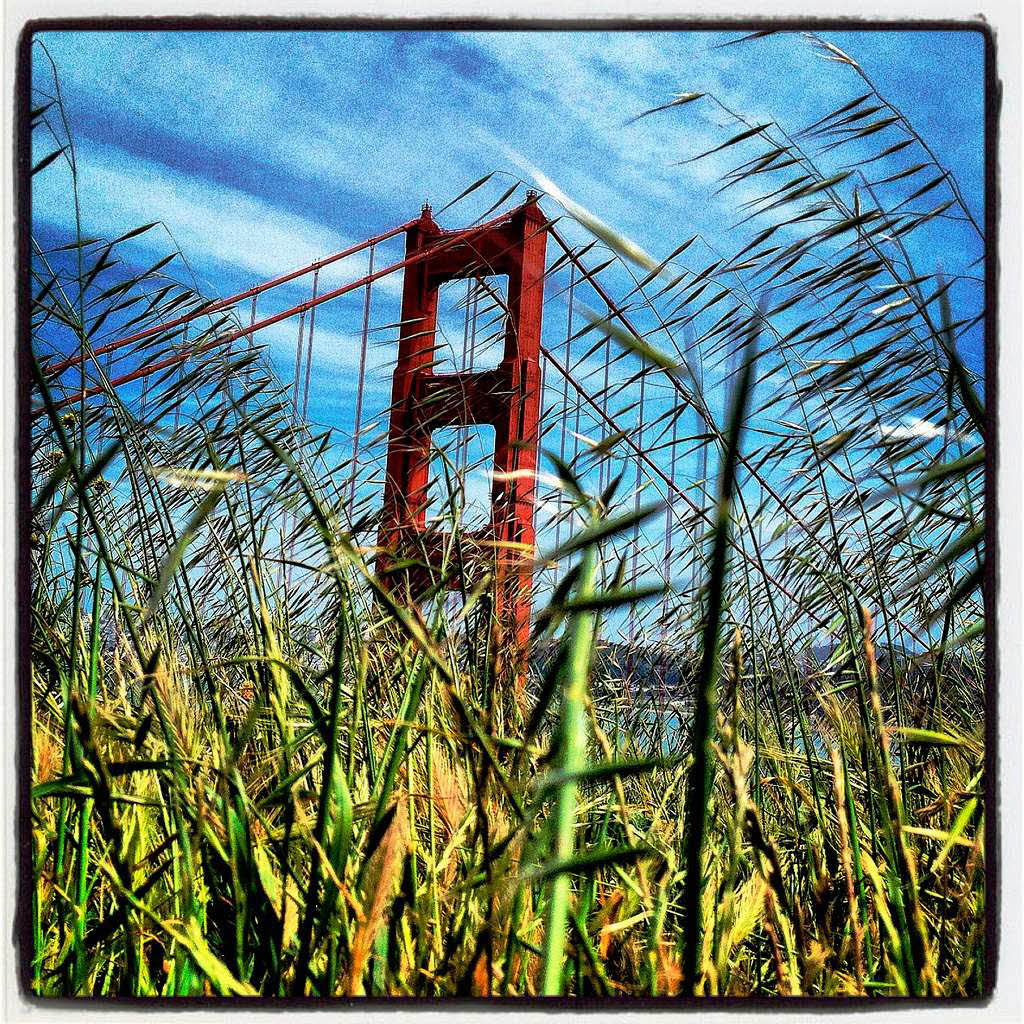 Sie ist eines der Fotomotive der USA: Die Golden Gate Bridge Sie ist eines der Fotomotive der USA: Die Golden Gate Bridge