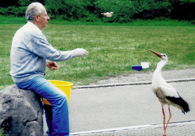 Zustzliches Futter in Form von Eintag...gend Nahrung auf den Wiesen finden.    | Foto: Rung