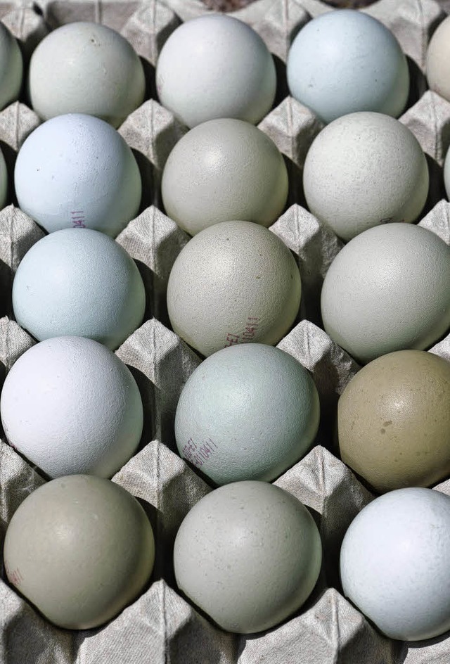 Ob grn, wei oder braun &#8211; Haupt...Eier stammen von glcklichen Hhnern.   | Foto: dpa