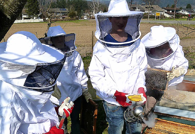 Die Hobbyimker nhern sich gut geschtzt ihrem Bienenvolk.   | Foto: Privat