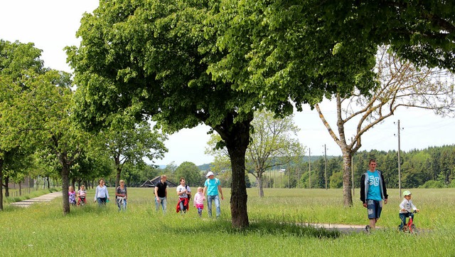 Auf dem Weg zur Oberburg: Die Hhenstr...ndern aber auch von Senioren begangen.  | Foto: Christa Maier