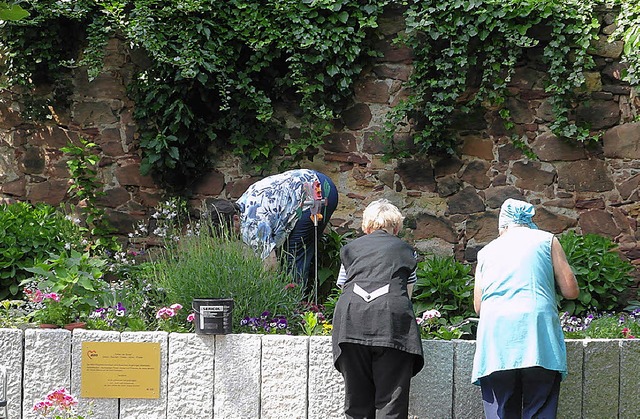 Ehrenamtliche Helfer bei der Pflanzaktion  | Foto: Privat