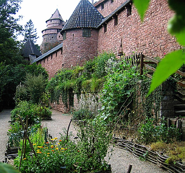 Heilkruter: Schlossgarten der Hohknigsburg  | Foto: Hohknigsburg