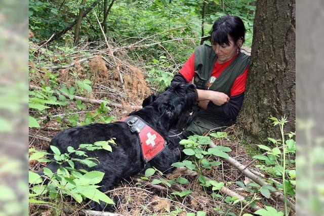 Hunde sind nicht selten Lebensretter