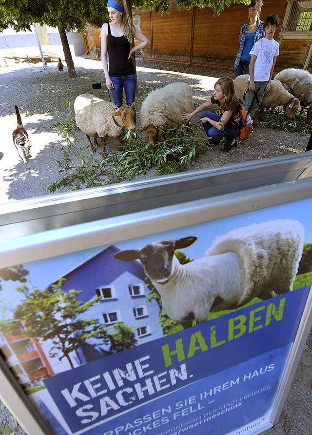 Lokaltermin Mundenhof mit dem neuen Plakat.   | Foto: Michael Bamberger