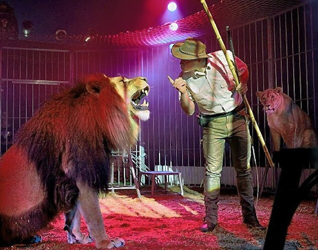 Circus Weisheit  | Foto: privat
