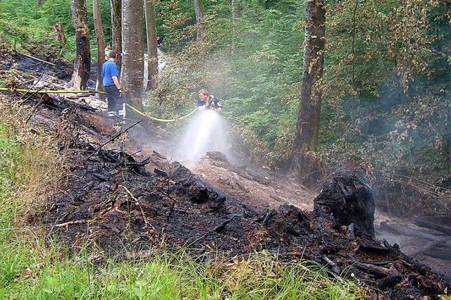 Waldbrand bei Nebenau hält Feuerwehr auf Trab