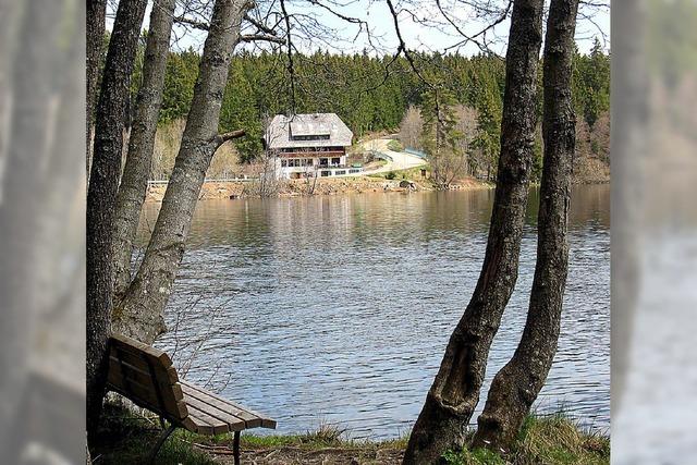 Mehr Sicht am See