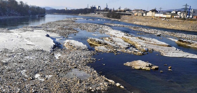 Der Lachs erobert sich den Rhein zurc...heinfelden hat er es schon geschafft.   | Foto: Ingrid Bhm-Jacob