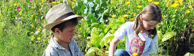 Ferien im Gemsebeet, im Schwimmbad od...mm des Jugendzentrums ist vielfltig.   | Foto: dpa