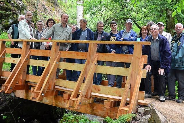 Mit Geduld und Licht wchst der Wald wieder nach