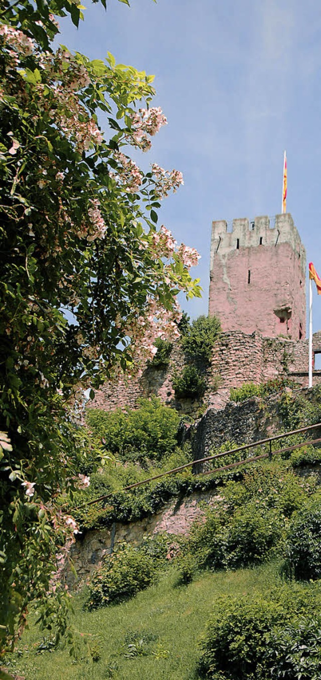 Die Burg Rtteln gilt als wichtiges Wahrzeichen von Lrrach   | Foto: ktz