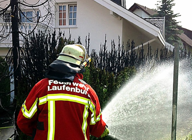 Eine brennende Thujahecke galt es zu lschen.   | Foto: Feuerwehr