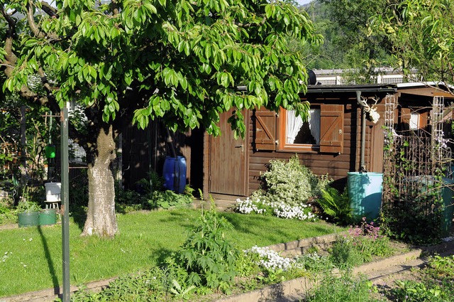 Kleingarten mit typischer Gartenlaube an der Schleifmatte in Waldkirch.   | Foto: Fotos: Andrea und Hermann Kurz