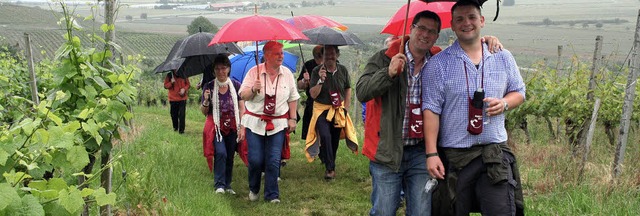 Viele Schirme machten die Rebkultour t...ens zu einer bunten Veranstaltung...    | Foto: Reinhard Cremer