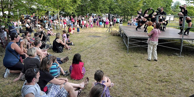Das Vis--Vis-Fest in Rhinau war am Sa...Vielfltige  Spiele waren im Angebot.   | Foto: fotos: bettina schaller