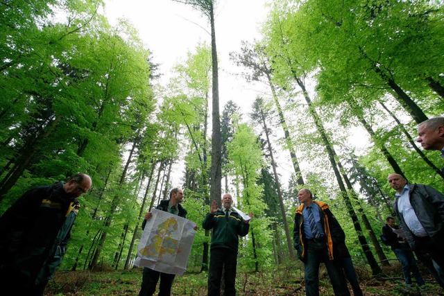 Der Wald wchst &#8211; nicht aber der Personalbestand der Forstverwaltung.   | Foto: Bastian Henning