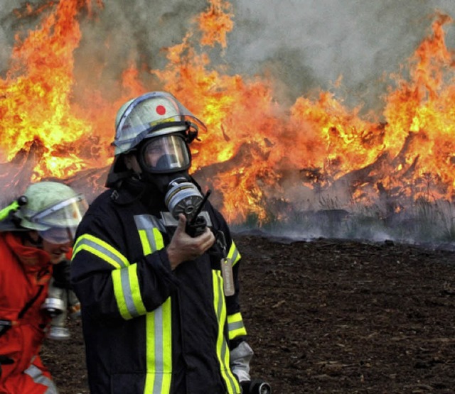 Ein Torfbrand in der Nhe von Hannover im Jahr 2010  | Foto: dpa