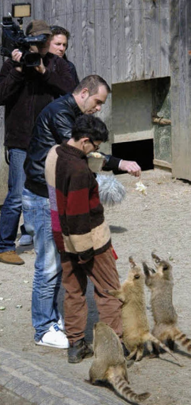 Unter Anleitung von Tierpflegerin Ther...ttern &#8211; und wird dabei gefilmt.   | Foto: Hubert Bleyer