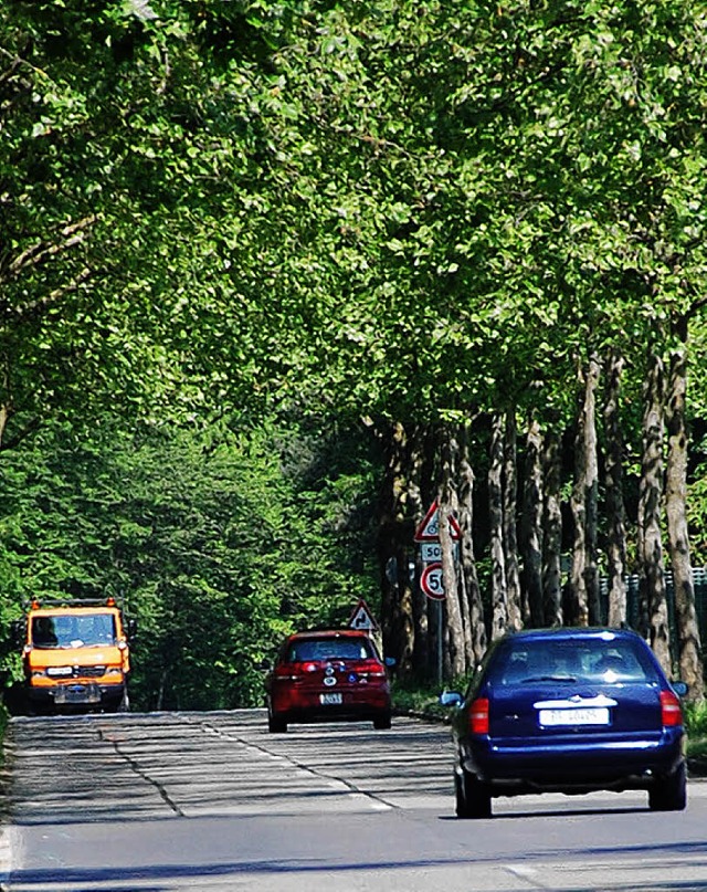 Die Alte Strae bildet derzeit eine  &#8222;grne Gasse&#8220;.   | Foto: Frey