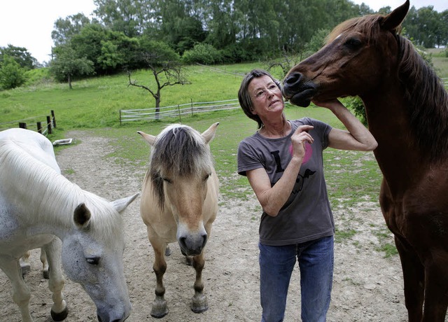 Die Pferdekoppel von Helga Bttler-Fra...n, liegt allerdings nher am Burgbhl.  | Foto: Christoph Breithaupt