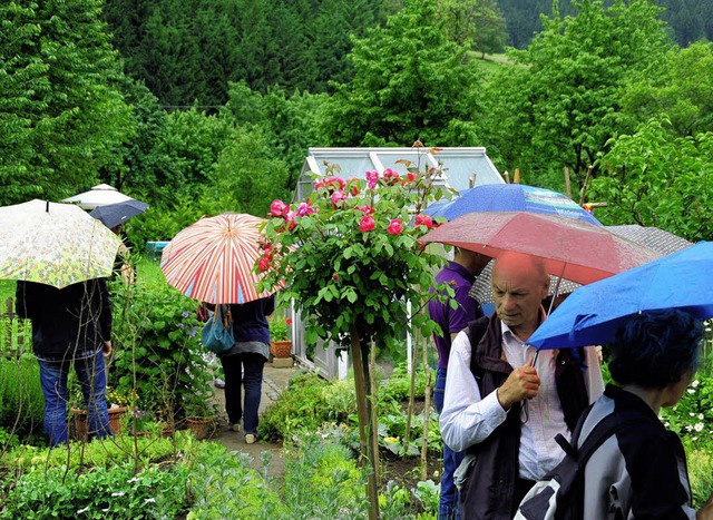 Richtige Gartenfreunde trotzen dem Regen beim Tag der offenen Gartentr.   | Foto: Horst Dauenhauer