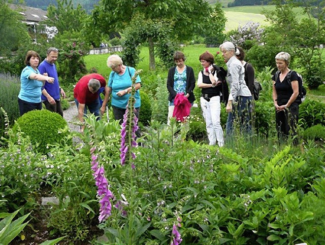 Der Oberrieder Krutergarten, von Ehre...rgt eine faszinierende Kruterpracht.   | Foto: Privat