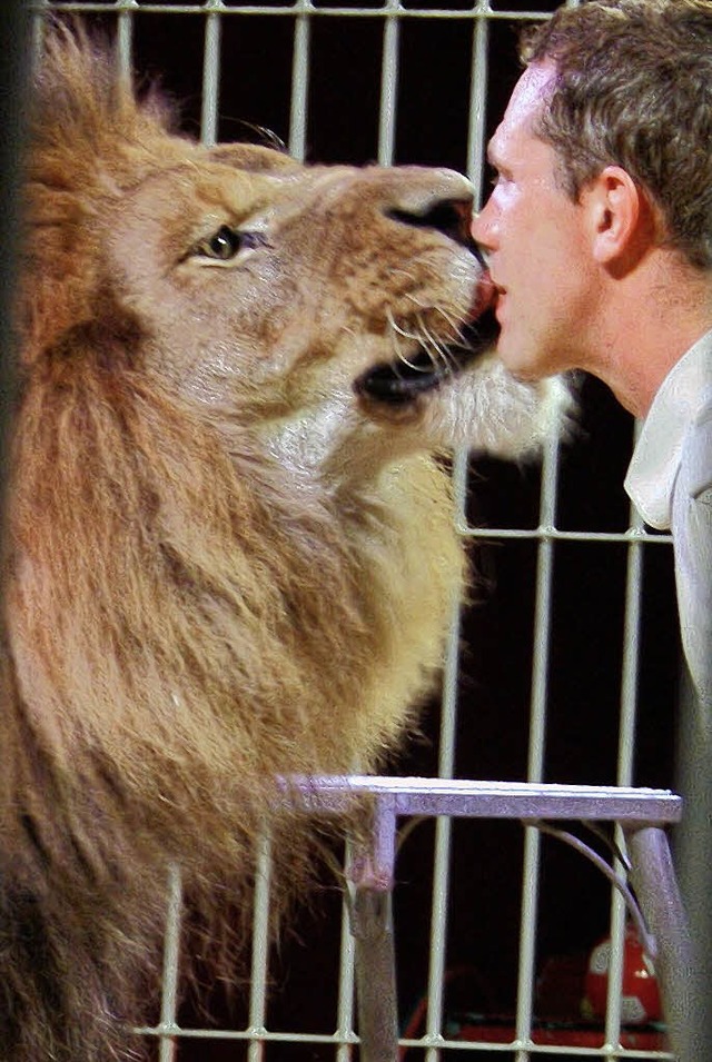 Mit einer atemberaubenden Lwenschau a...rte der Zirkus Weisheit die Besucher.   | Foto: Marco Schopferer