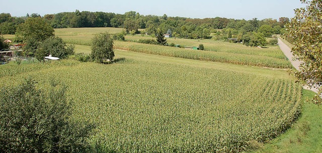 Maisfelder, ein paar Grtchen, dazwisc...sieht das Gartenschauareal heute aus.   | Foto: Drescher