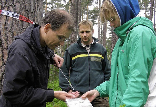 Behutsam verpacken die Forscher die Baumproben.  | Foto: Liane Schilling